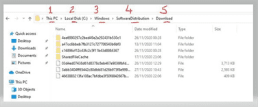 Windows SoftwareDistribution Download directory 2