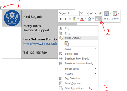 2 column Outlook Signature remove borders