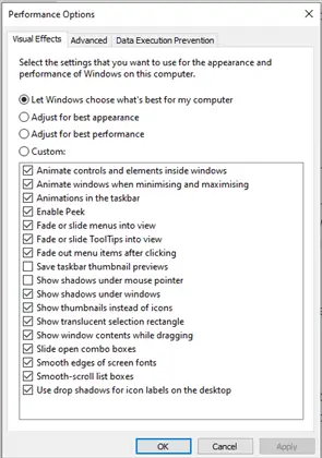 adjust the appearance and performance options