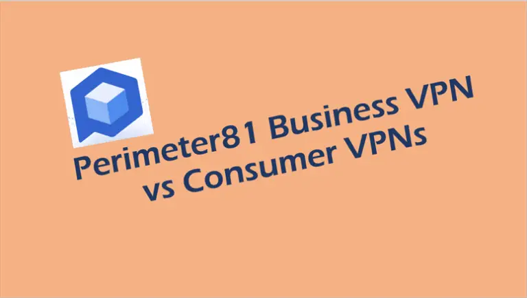 Perimeter81 Business VPN vs Consumer VPNs