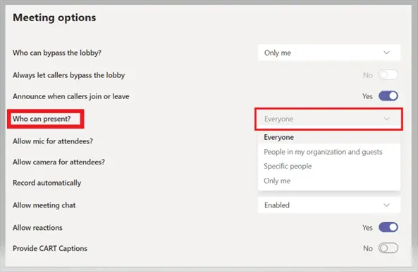 Meeting Options - Who can present