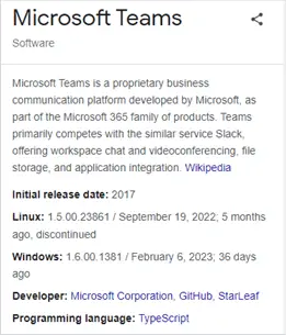 Microsoft Team Software